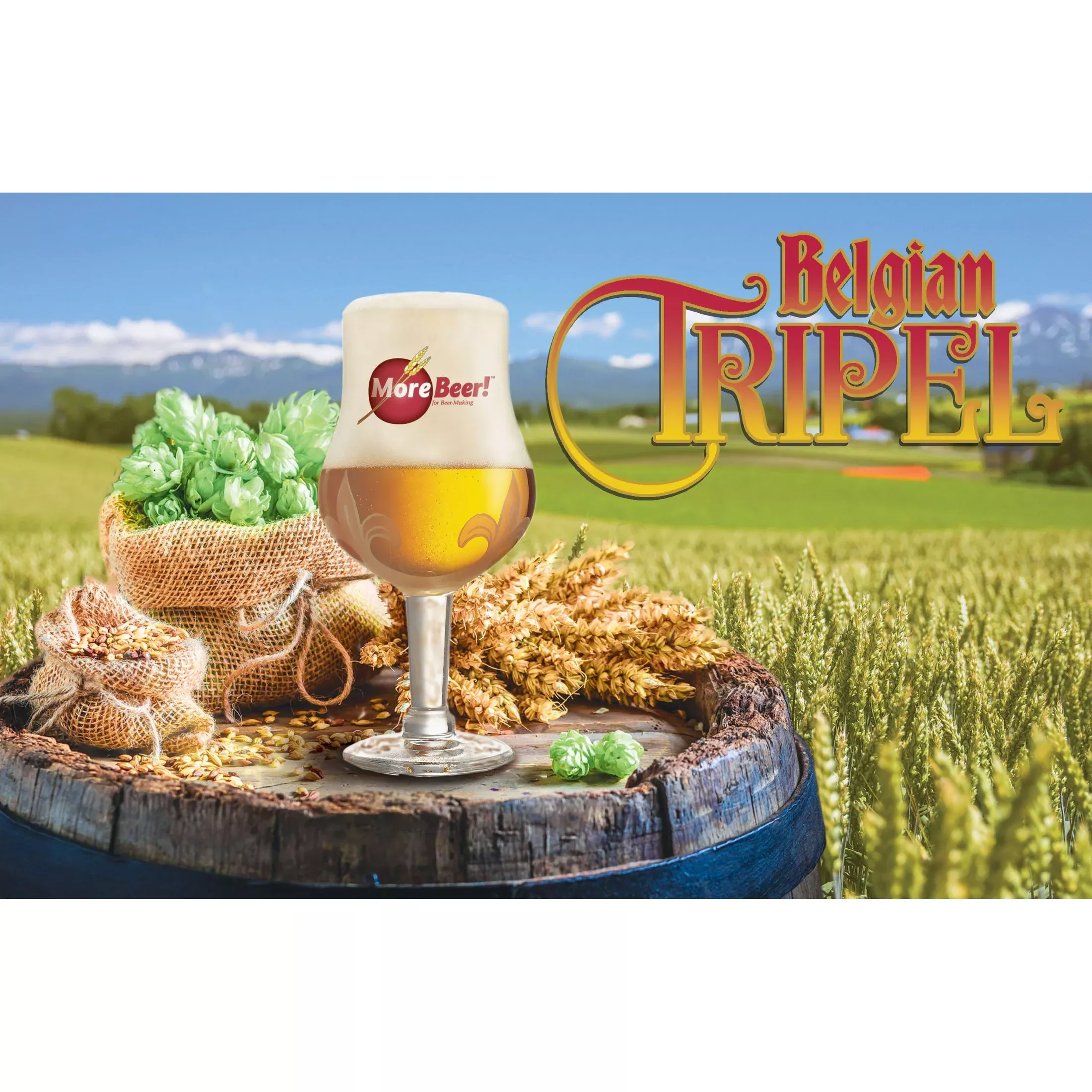 Belgian Tripel | 5 Gallon Beer Recipe Kit | Extract