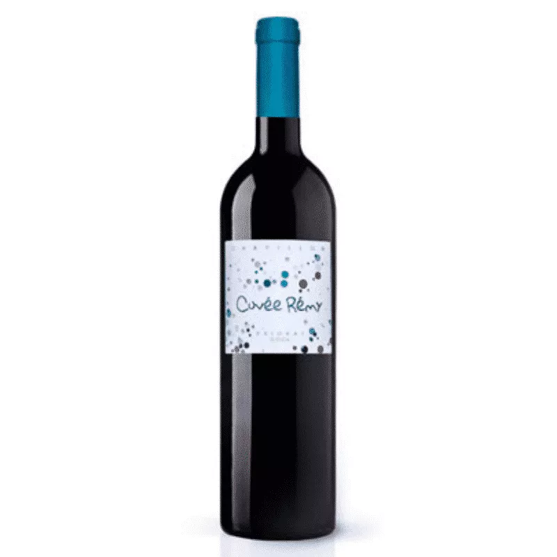 CHAPILLON REMY PRIORAT