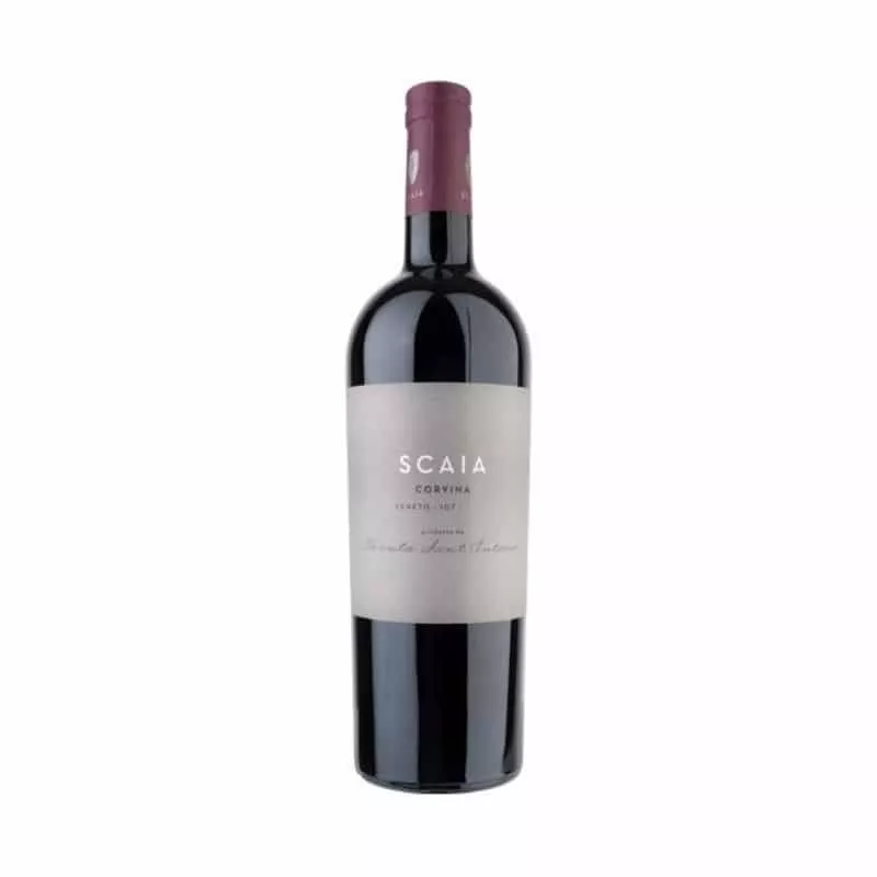 SCAIA ROSSO