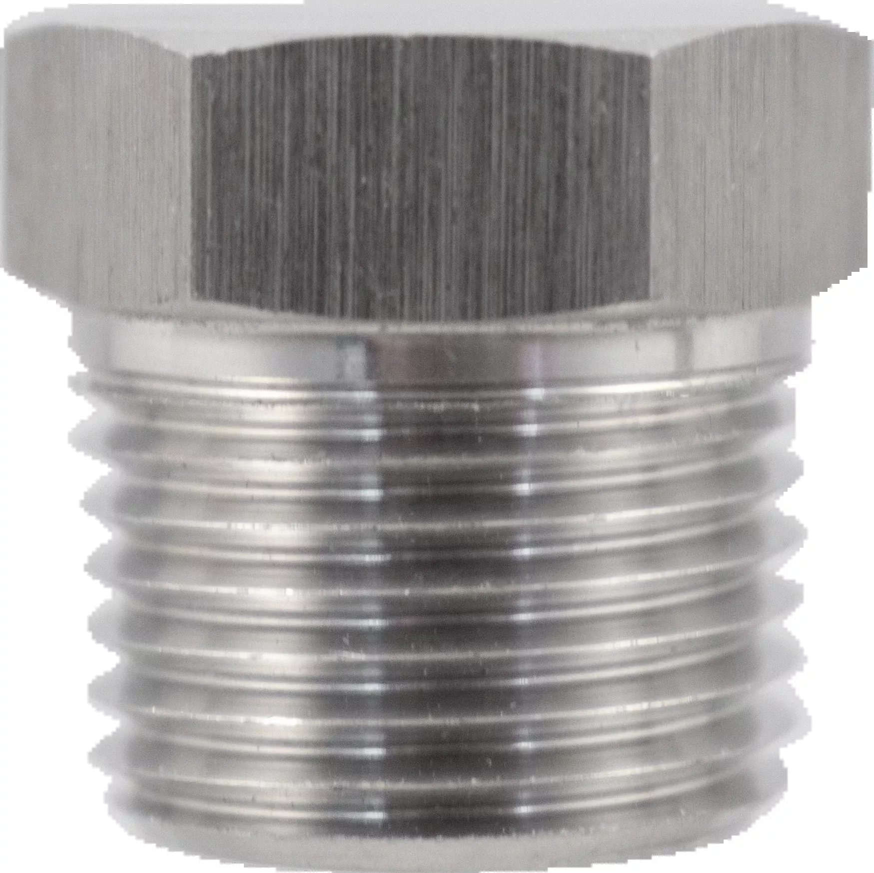 Stainless Solid Plug - 1 /2 in. MPT
