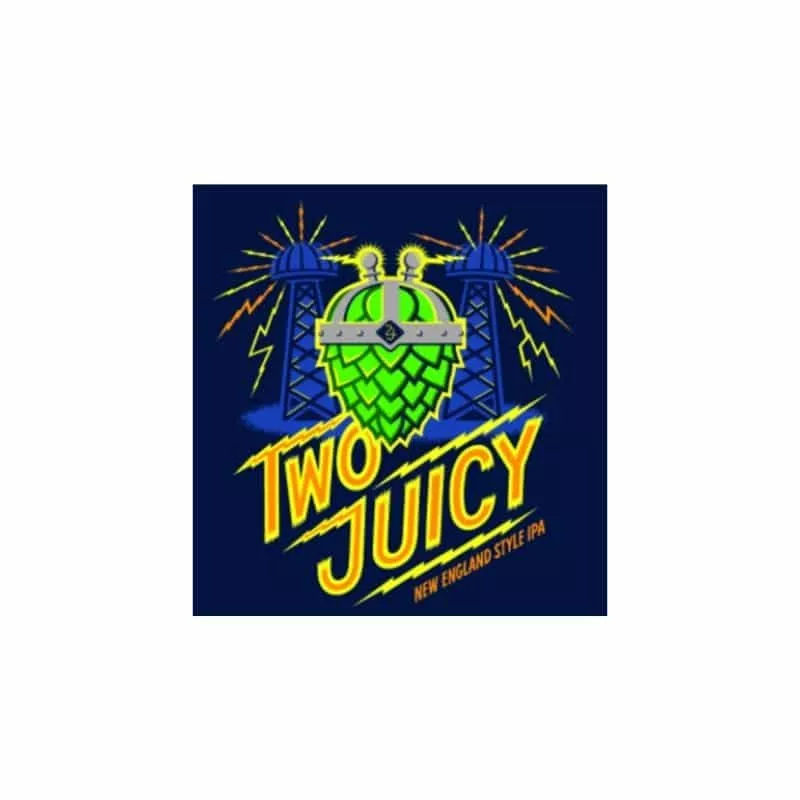 TWO ROADS TWO JUICY 4PK